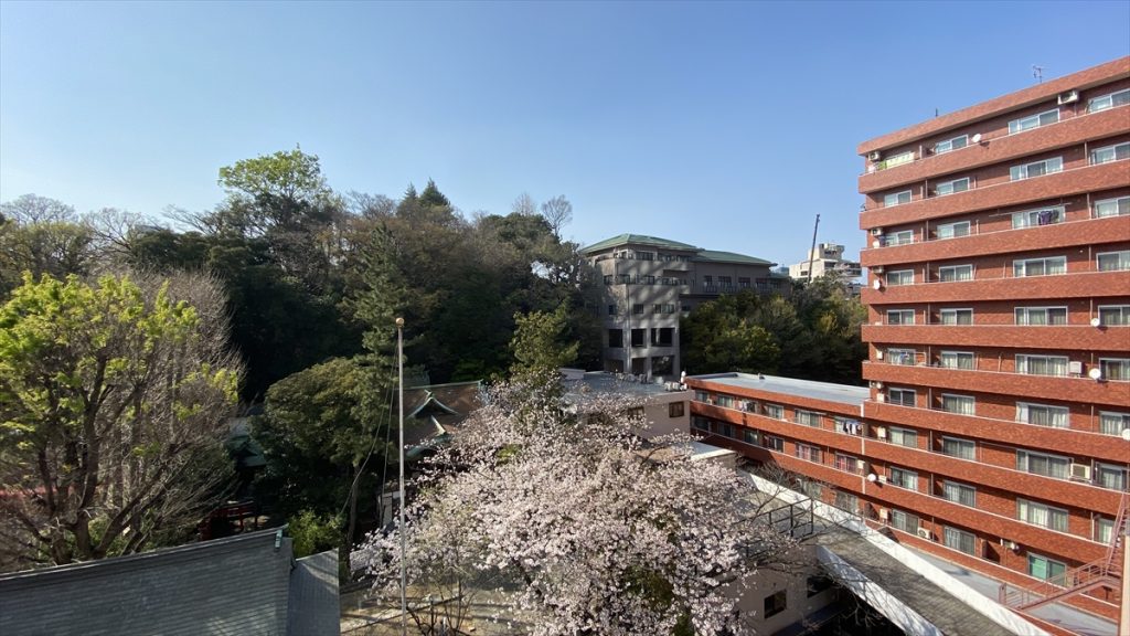 写真 2020-04-02 15 04 29_R