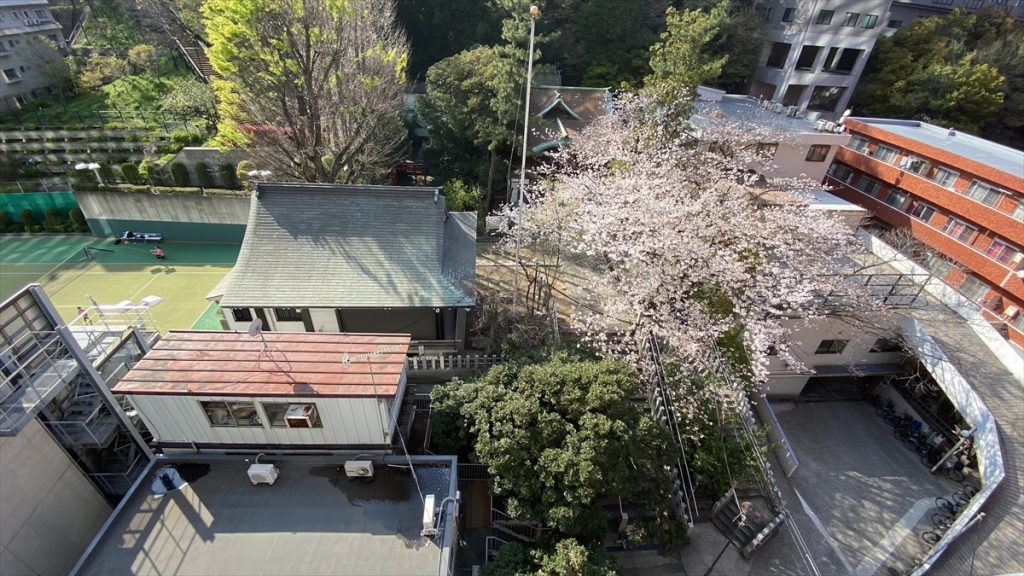 写真 2020-04-02 15 04 37_R